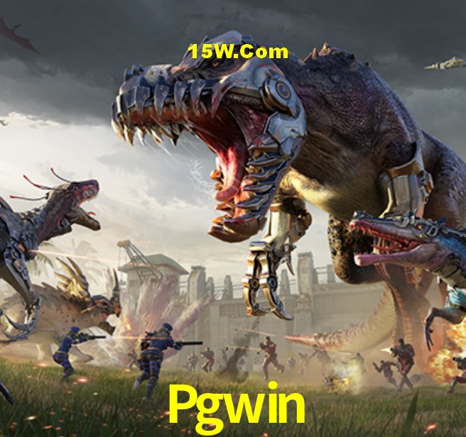 Bonus Features Pgwin